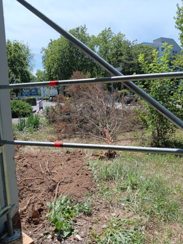 20260703_132738_web.jpg