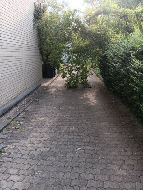 20260803_084725_web.jpg
